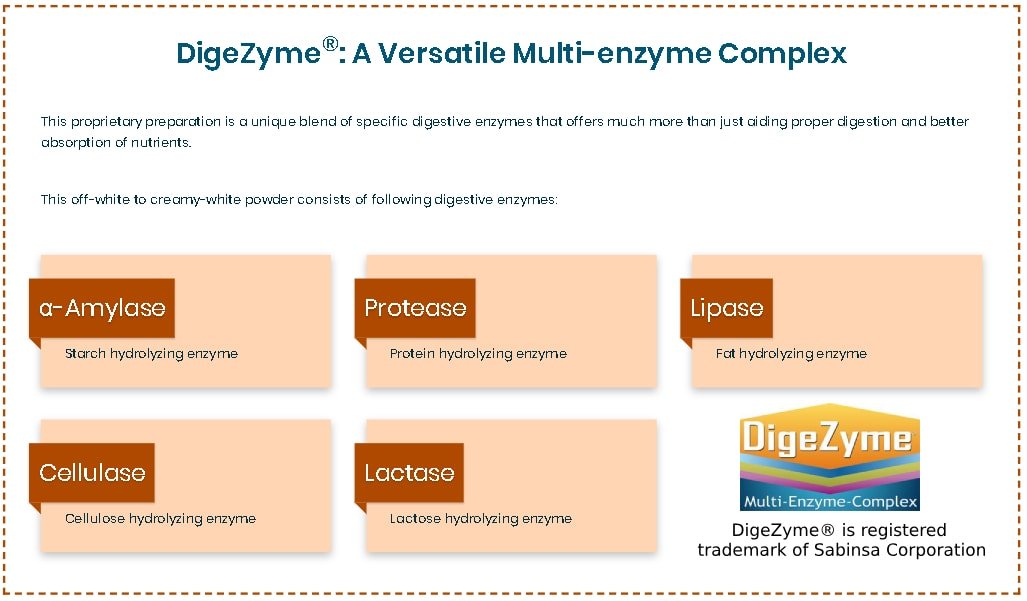 DigeZyme